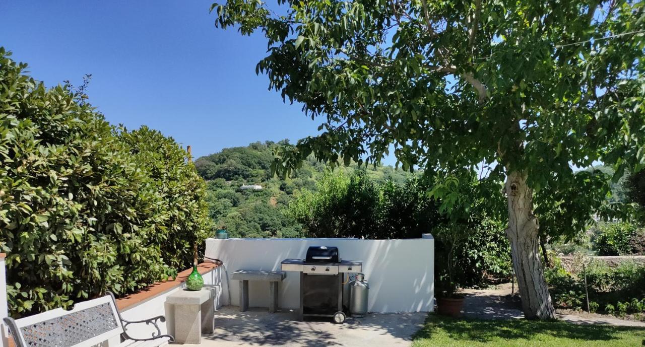 Il Giardino Daire Barano dʼIschia Dış mekan fotoğraf